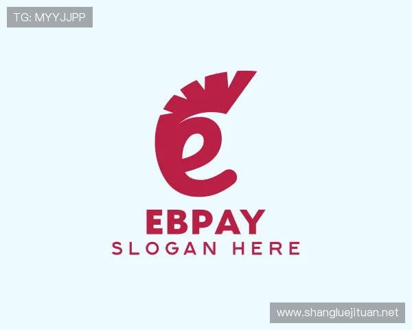 关于EBpay